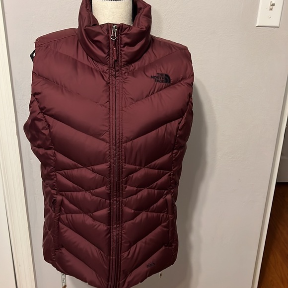 The North Face Jackets & Blazers - The North Face Puffer 550 Vests